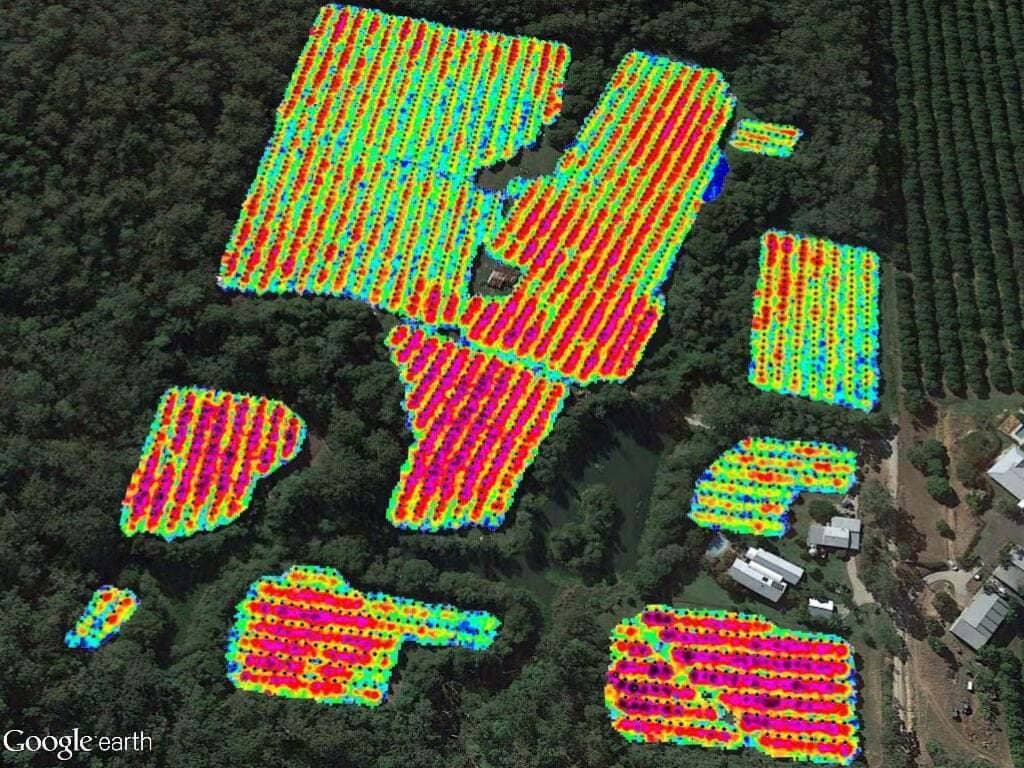 Macadamia growers' case study 2017 19 After image