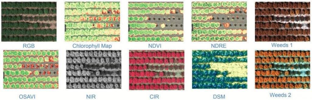 Multispectral Mapping for Crops and Vegetation 4 Examples of outputs from our RedEdge Multispectral Sensor