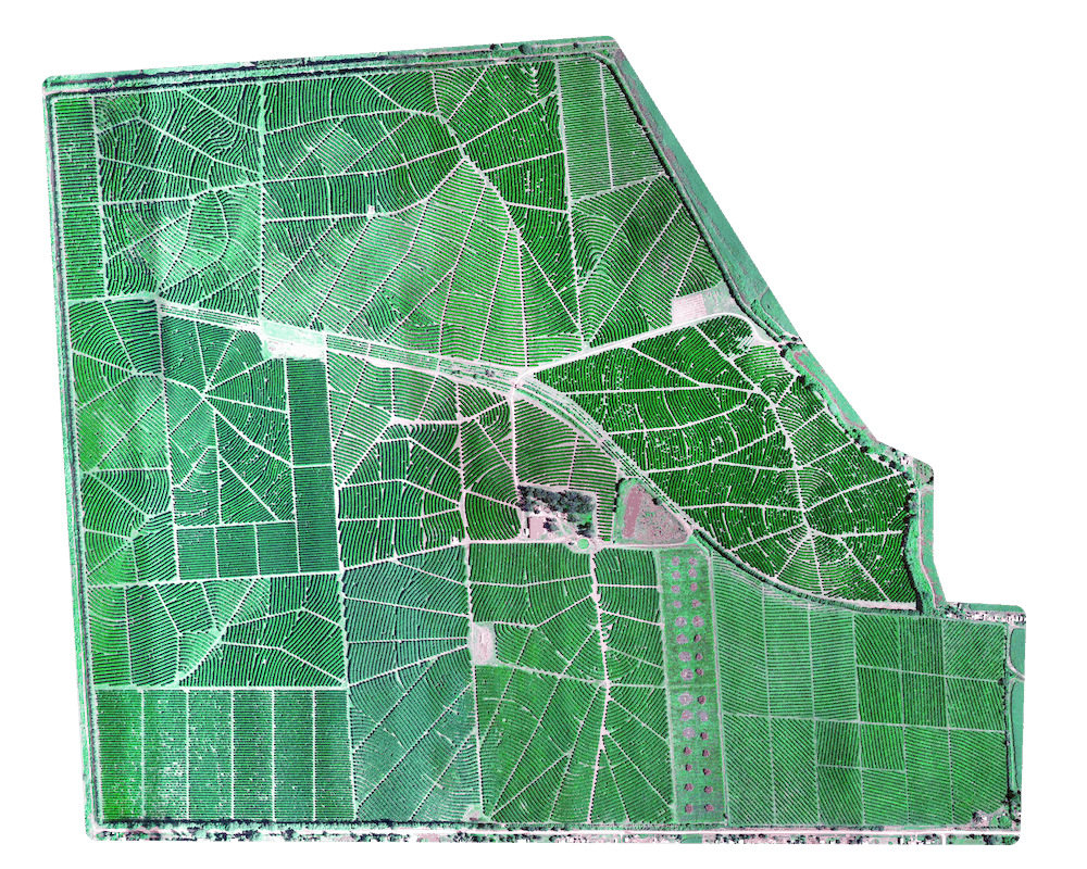 Multispectral Mapping for Crops and Vegetation 5 RGB image of tree plantation captured by Micasense Rededge