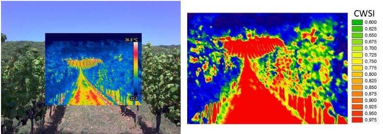 Aerial Thermal Mapping and Thermal Inspections 4 visible and thermal crop imaging