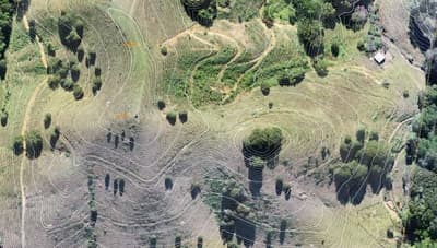 PPK Precision Contour Survey Map with 10m and 1m Elevations
