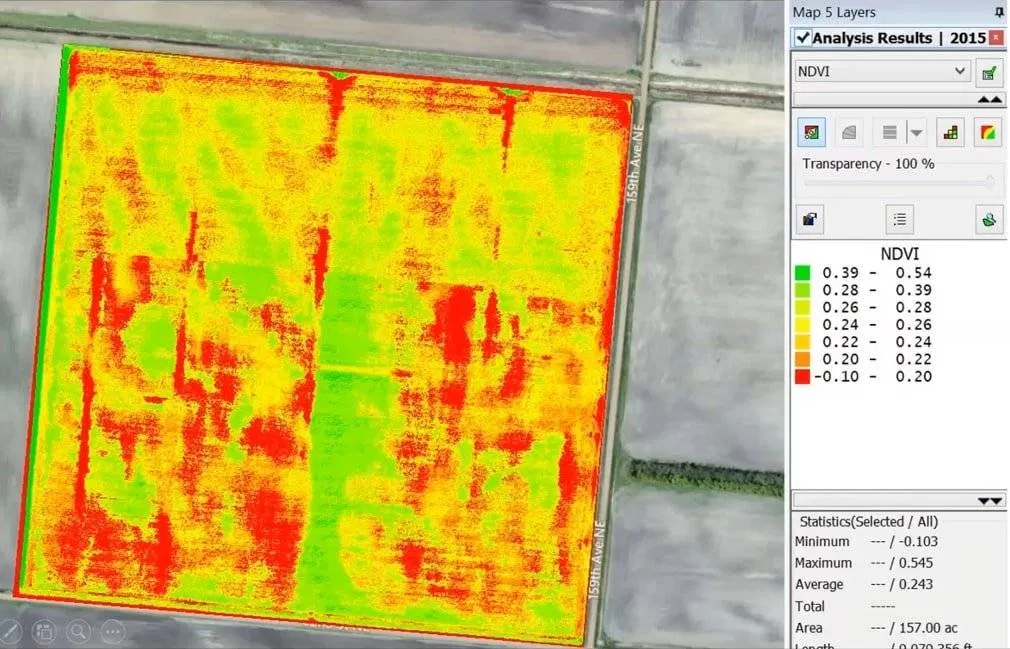 Field-with-two-types-of-potatoes
