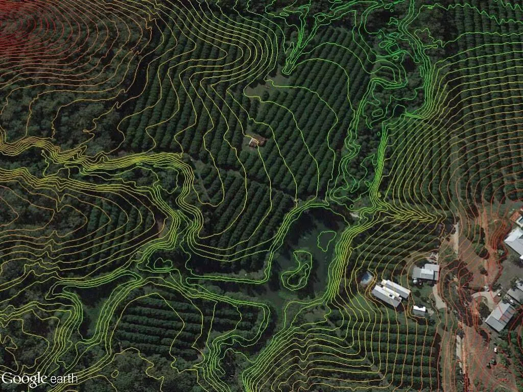 Macadamia plantation case study contour map