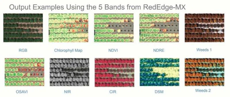 Aerial Multispectral Mapping 3 Examples of outputs from our RedEdge Multispectral Sensor