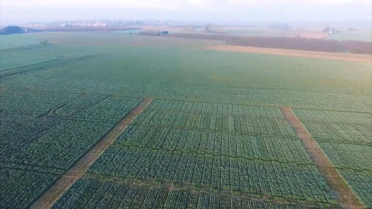 New Ways to Manage Seed Trials and Trial Plots in 4 Easy Steps 1 Play