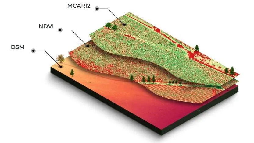 New Ways to Manage Seed Trials and Trial Plots in 4 Easy Steps 2 layered data from multispectral trial plots mapping