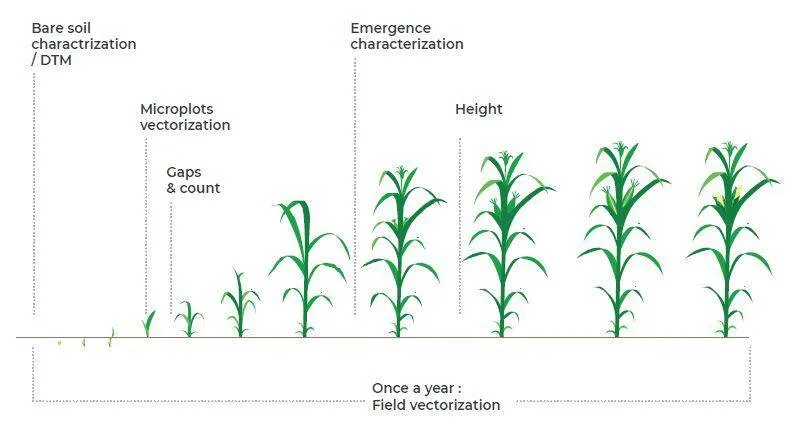 seed trials and field trial plots program Program to manage performance of seed trials and trial plots