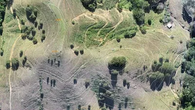 PPK Precision Contour Survey Map with 10m and 1m Elevations