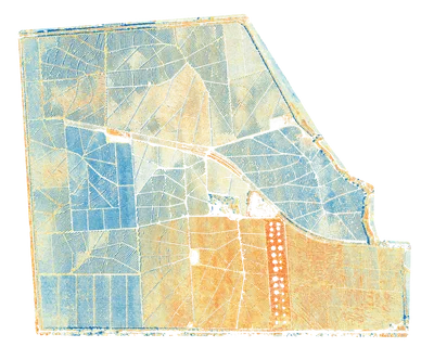 Multispectral map of tree plantation using Micasense Rededge
