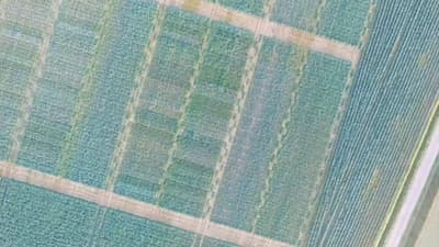 Multispectral Mapping