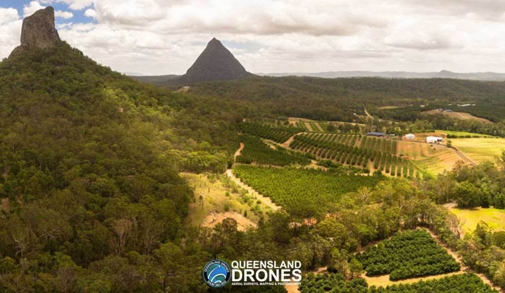 Macadamia-Orchard-Glasshouse-Mountains Macadamia-Orchard-Glasshouse-Mountains
