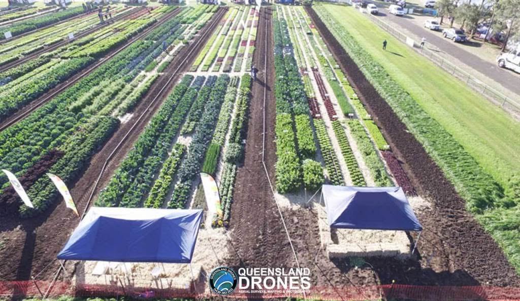 Trial-Plots-Gatton-Expo Trial-Plots-Gatton-Expo