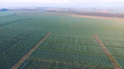 Aerial LIDAR Mapping and Survey Specialists 8 using multispectral imaging to improve seed selection